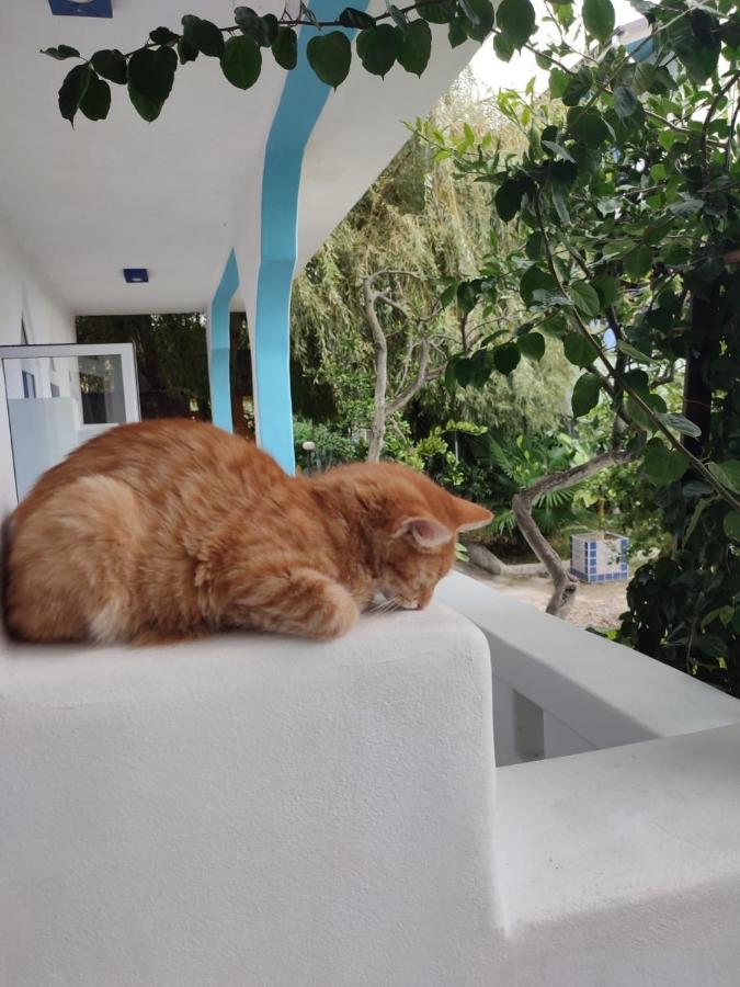 Бунгало Мини Отель, Пицунда , Лдзаа Εξωτερικό φωτογραφία